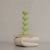 Solomonic Column Candle - Green